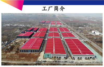 瑞龙环保咨询服务 专业护航企业绿色发展