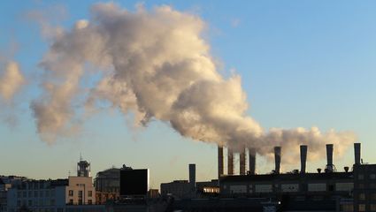 如何成为碳排放管理师并开展环保咨询服务的完整指南