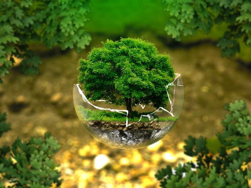 2025成都环保咨询实力榜Top5与全面方案推荐